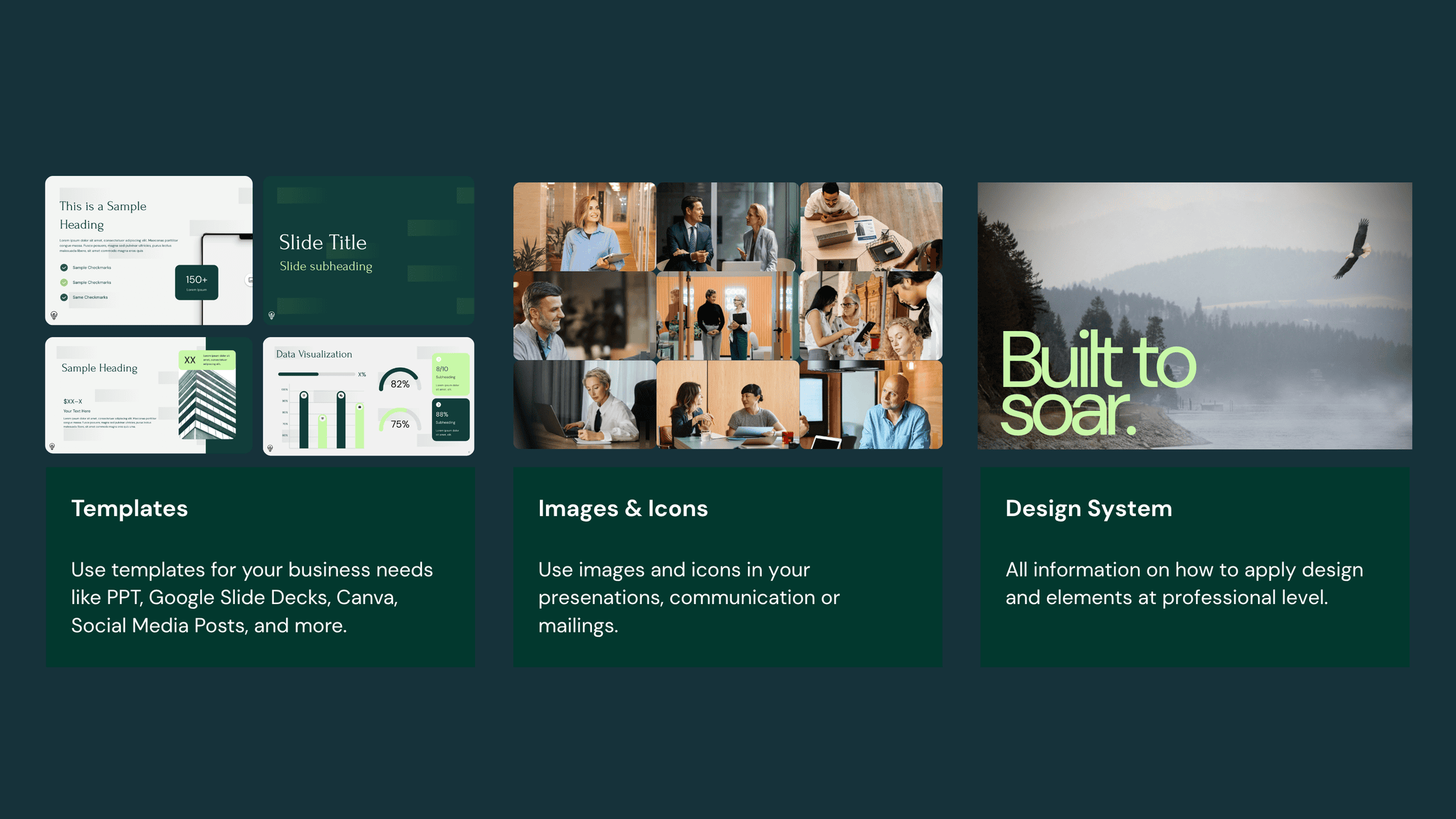 Diverse team collaborating at Eagle Venture Studio office.