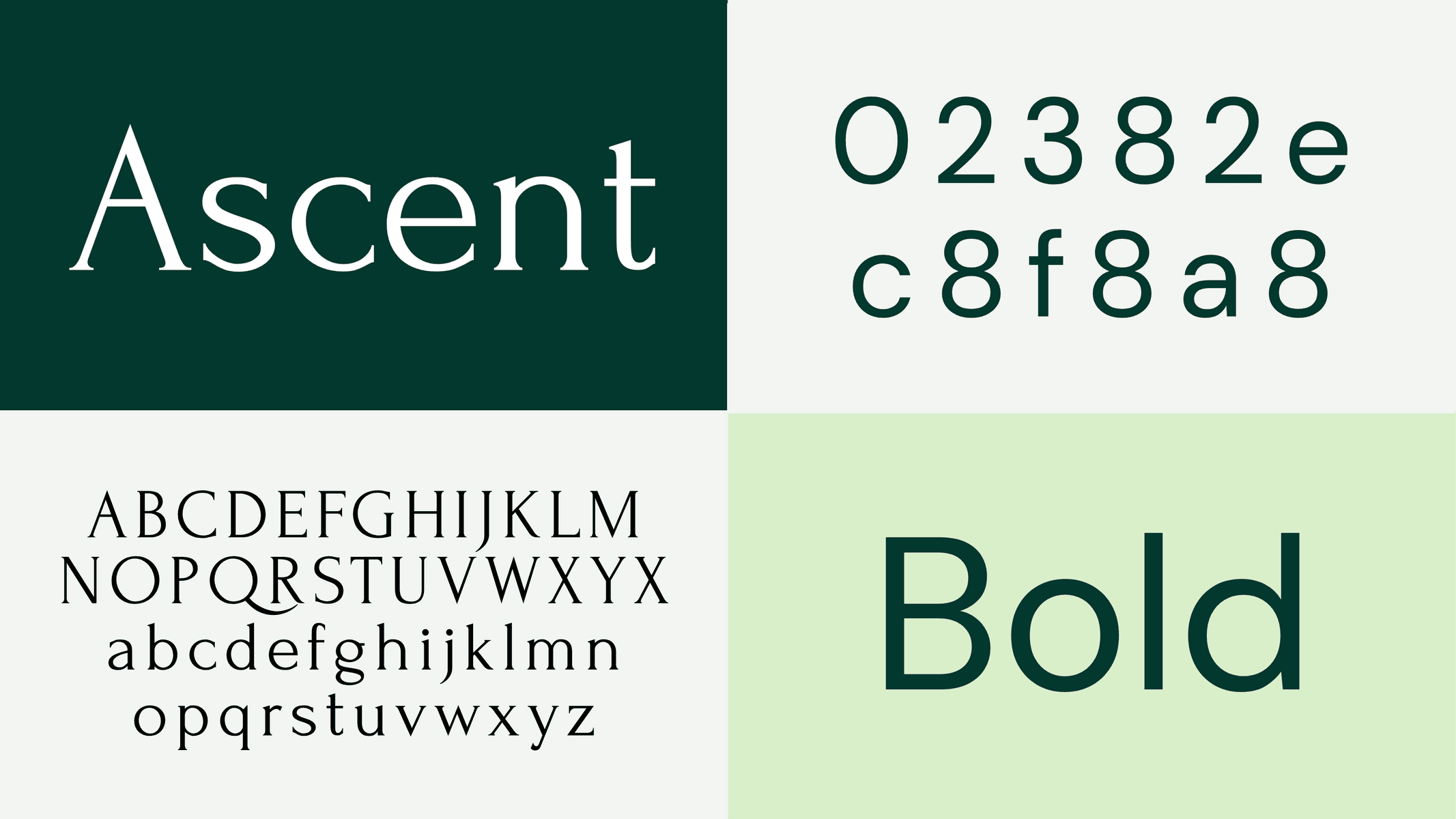 Eagle Venture Studio logo on a green background, professional branding image.